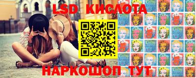 дмт Краснодар