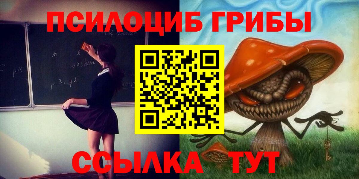 Псилоцибиновые грибы мухоморы Коряжма