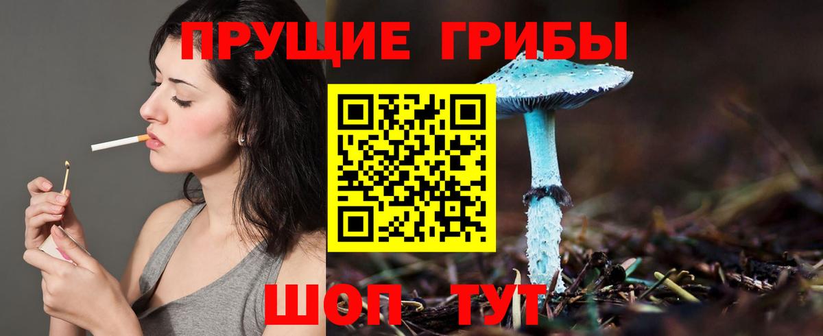 Коряжма  Псилоцибиновые грибы Psilocybe  Вход с VPN 