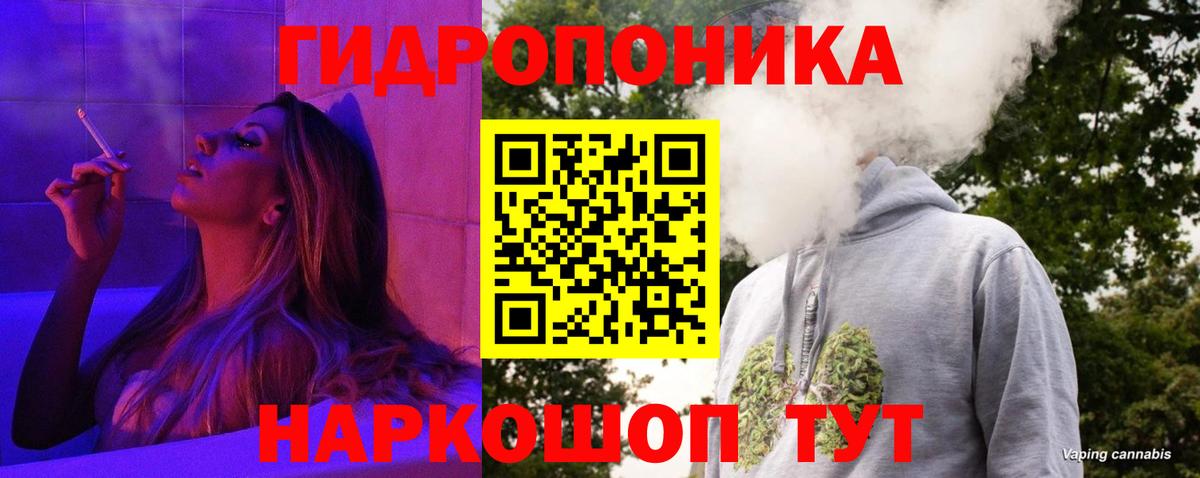 Конопля марихуана  Марихуана планчик  Коряжма  Бошки Шишки гибрид  Вход с VPN 
